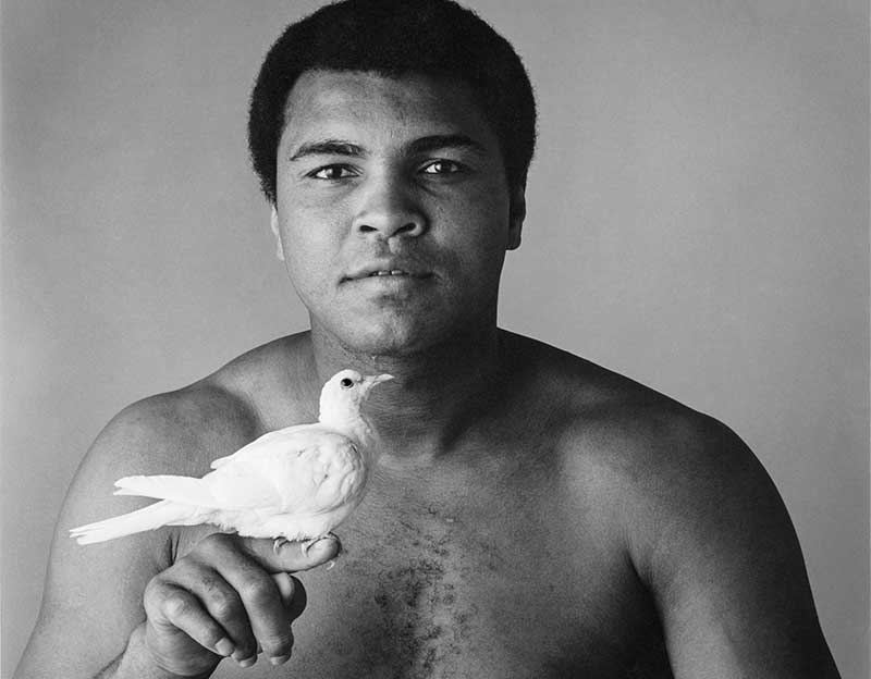 Portrait of Mohammed Ali